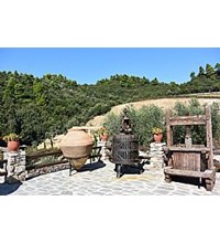 ΤΣΑΝΤΑΛΗΣ ΑΓΙΟ ΟΡΟΣ