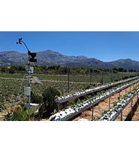 SYNGENTA ΤΖΕΡΜΙΑΔΟ - ΛΑΣΙΘΙΟΥ