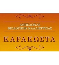 ΚΤΗΜΑ ΚΑΡΑΚΩΣΤΑ